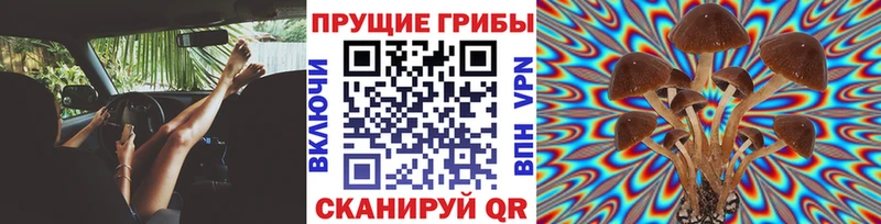 ссылка на мегу ONION  Кораблино  Галлюциногенные грибы мухоморы 
